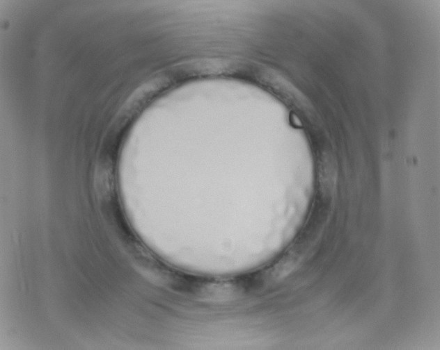 X0000070380119200606301931