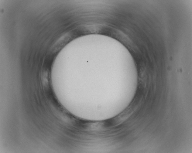 X0000070380122200606301931