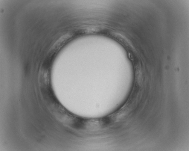 X0000070380123200606301931