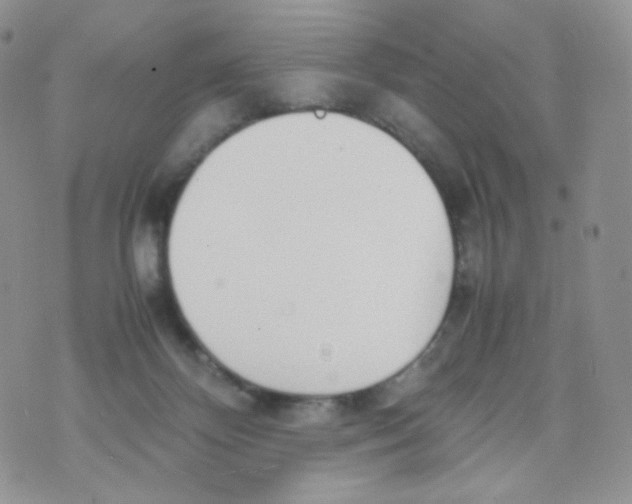 X0000070380124200606301931