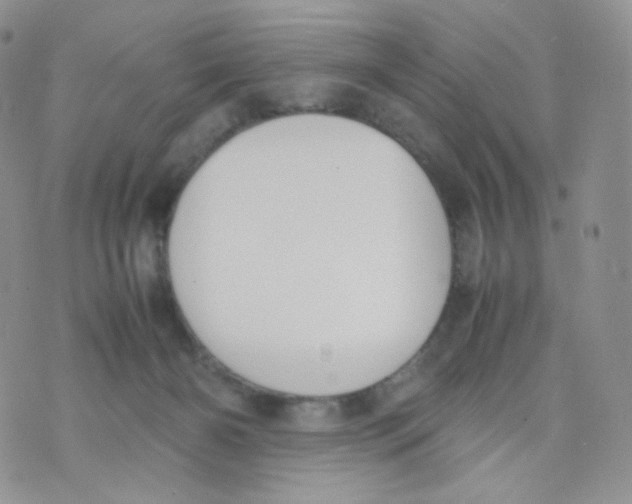 X0000070380126200606301931