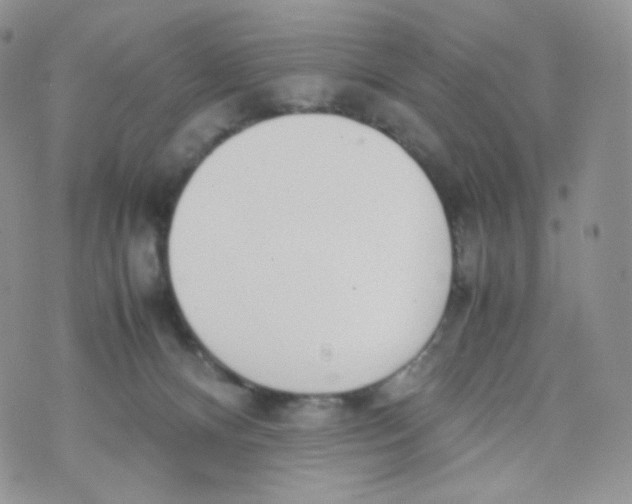 X0000070380128200606301931