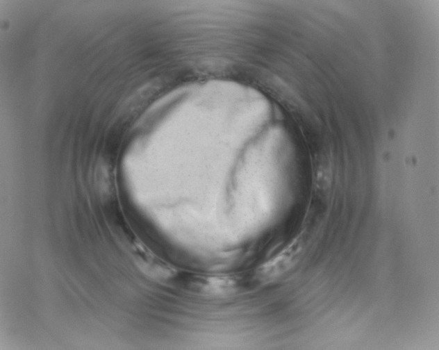 X0000070380130200606301931