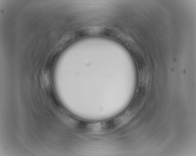 X0000070380131200606301931