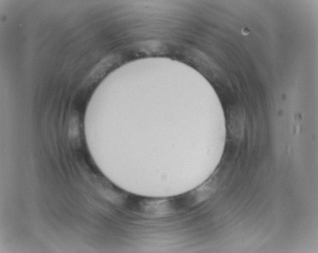 X0000070380132200606301931