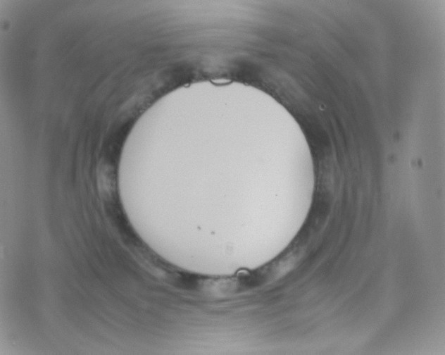 X0000070380135200606301931