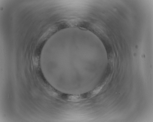 X0000070380139200606301931