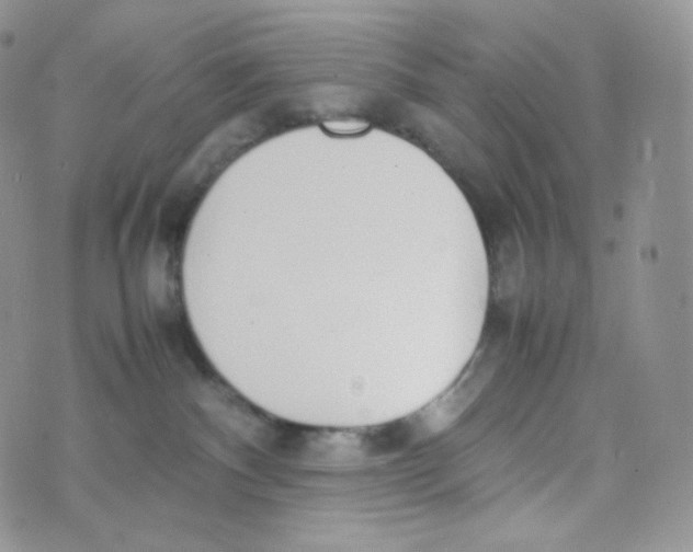 X0000070380140200606301931