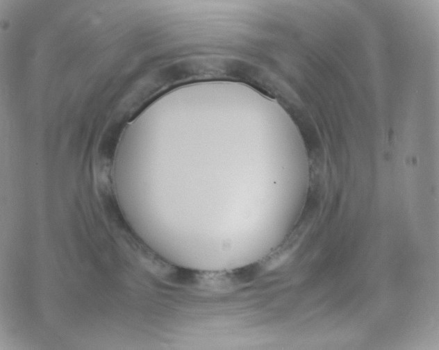 X0000070380141200606301931