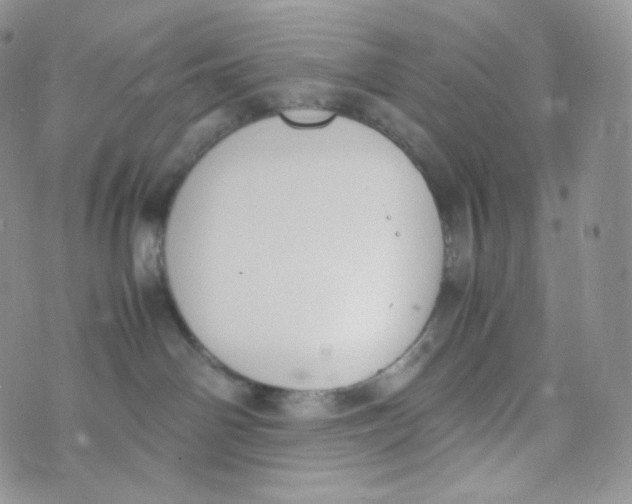 X0000070380142200606301931