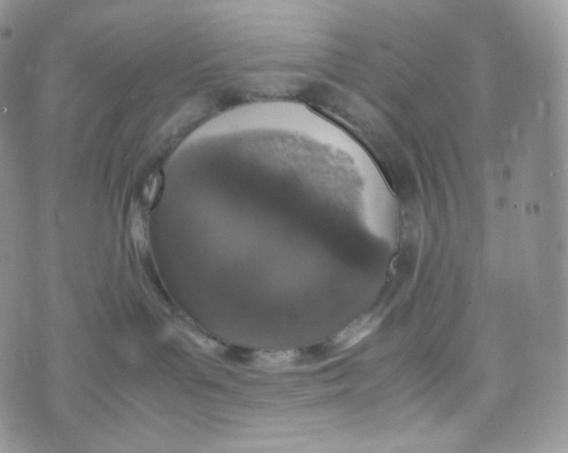 X0000070380143200606301931