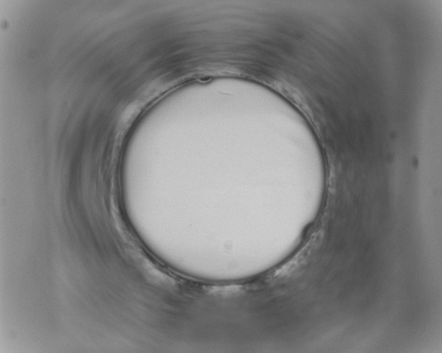 X0000070380145200606301930