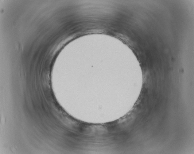 X0000070380146200606301930