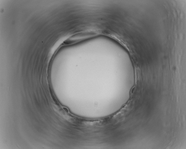 X0000070380147200606301930