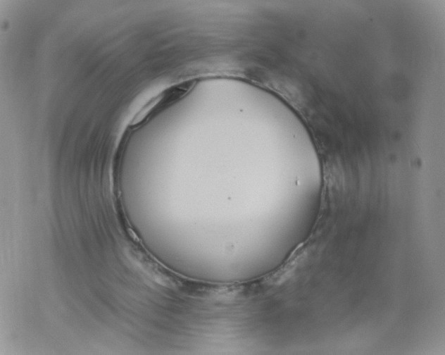 X0000070380148200606301930