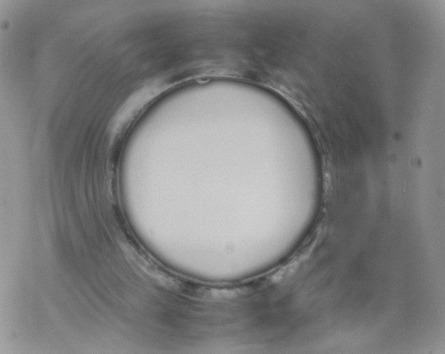 X0000070380149200606301930