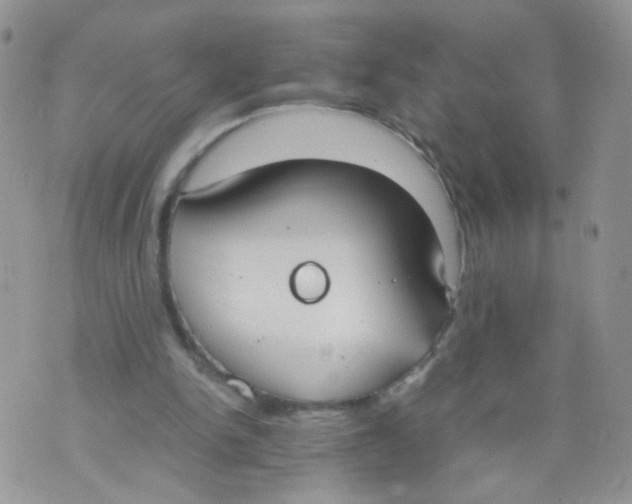 X0000070380150200606301930