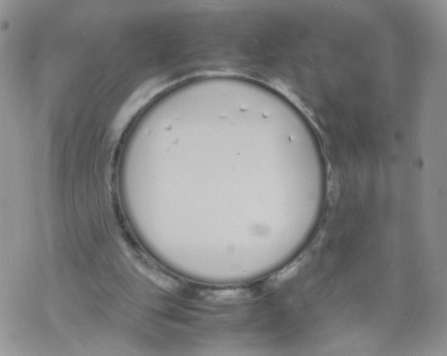 X0000070380151200606301930