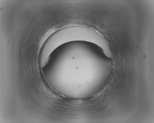 X0000070380152200606301930