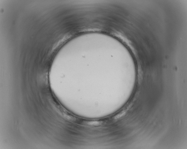 X0000070380153200606301930