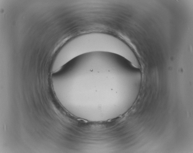 X0000070380154200606301930