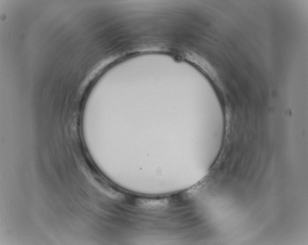 X0000070380155200606301930