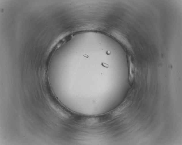 X0000070380156200606301930