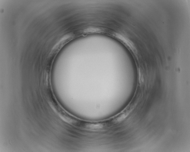 X0000070380157200606301930