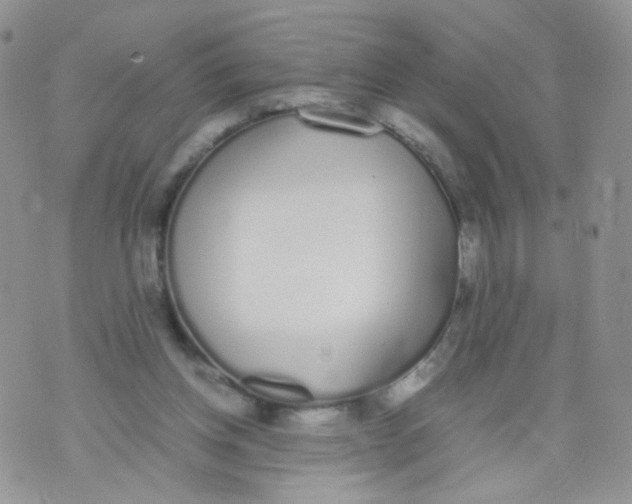 X0000070380158200606301930