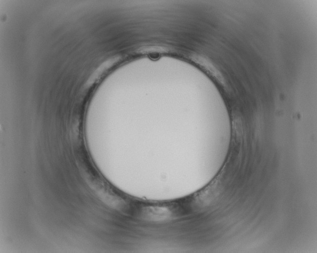 X0000070380159200606301930