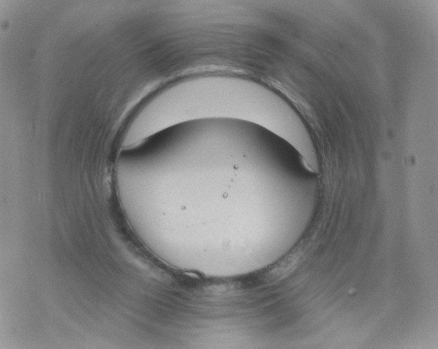 X0000070380160200606301930