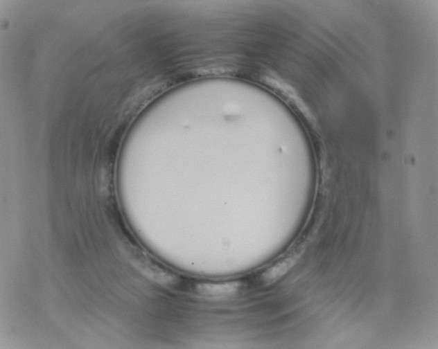 X0000070380161200606301930