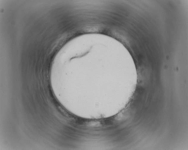 X0000070380162200606301930