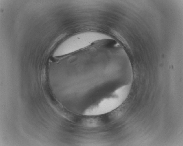 X0000070380163200606301930