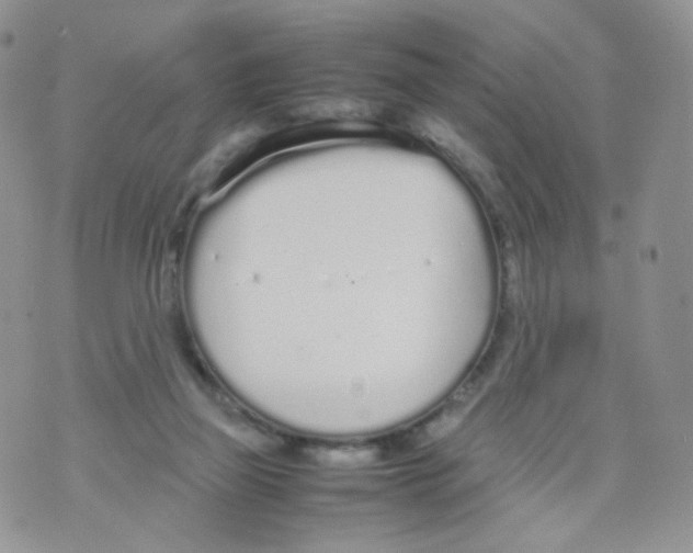 X0000070380165200606301930