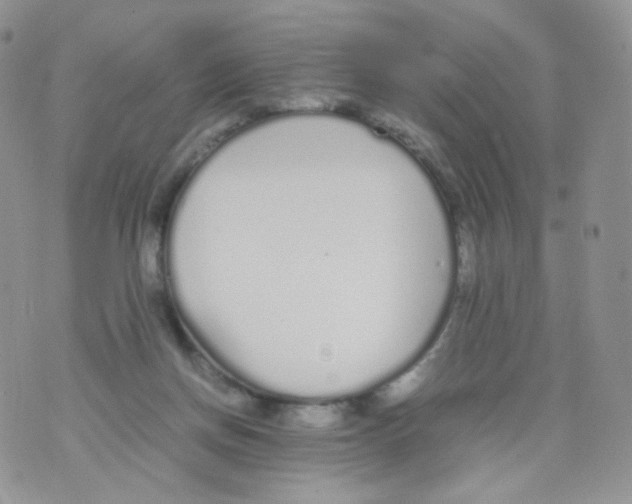 X0000070380166200606301930