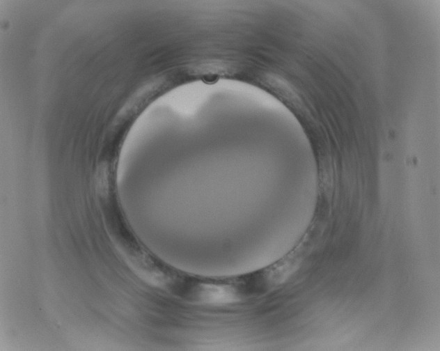 X0000070380167200606301930