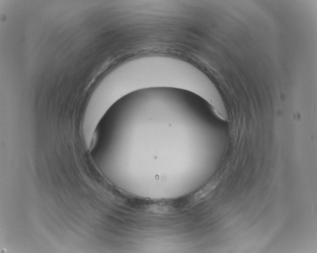 X0000070380168200606301930