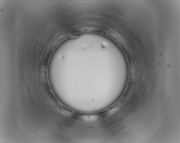 X0000070380169200606301930