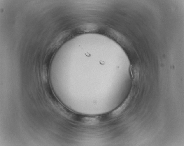 X0000070380170200606301930