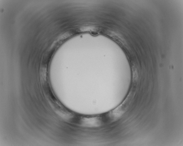 X0000070380171200606301930