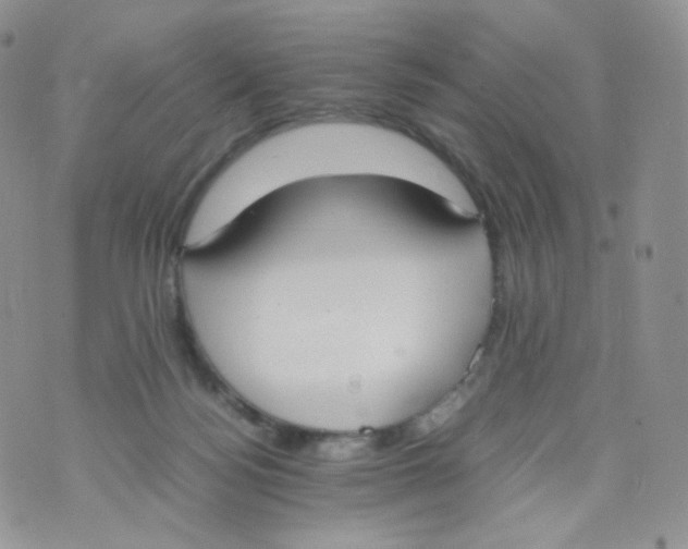 X0000070380172200606301930