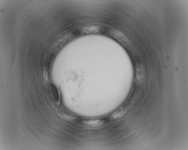 X0000070380173200606301930