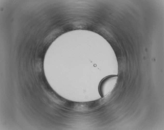 X0000070380174200606301930