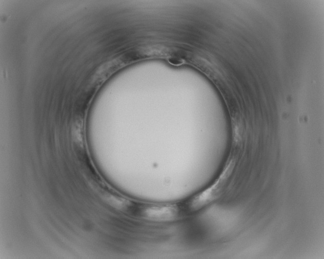 X0000070380175200606301930