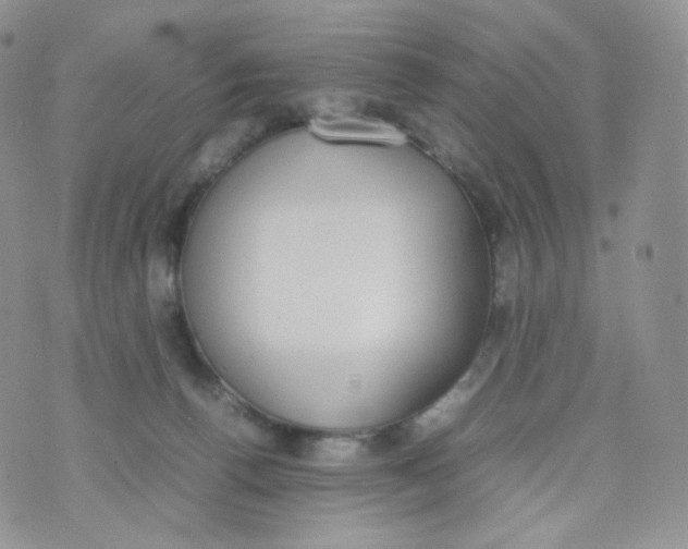 X0000070380176200606301930