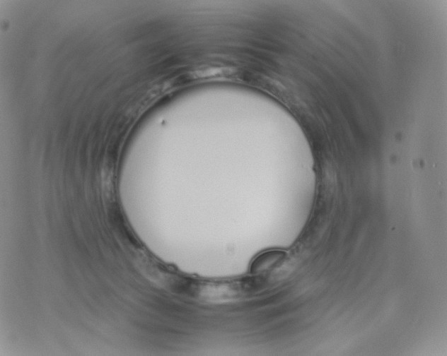 X0000070380177200606301930