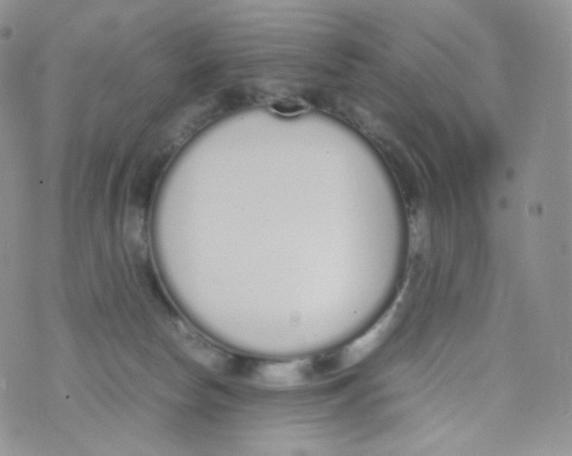 X0000070380178200606301930