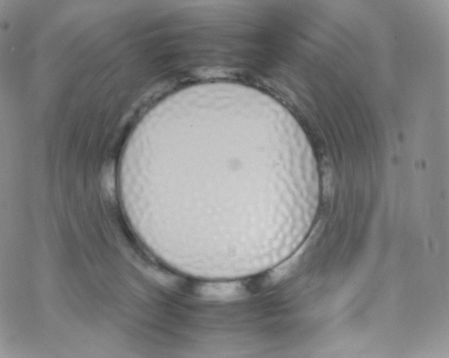 X0000070380179200606301930