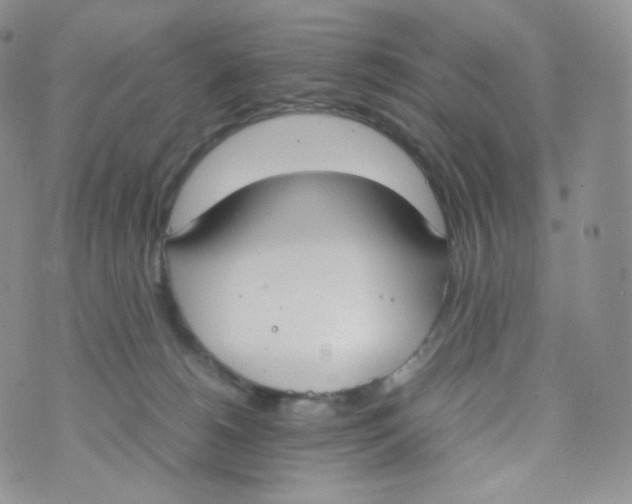 X0000070380180200606301930